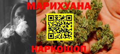 индика Лесосибирск