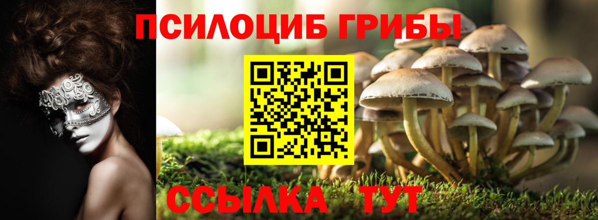 Галлюциногенные грибы MAGIC MUSHROOMS Ефремов